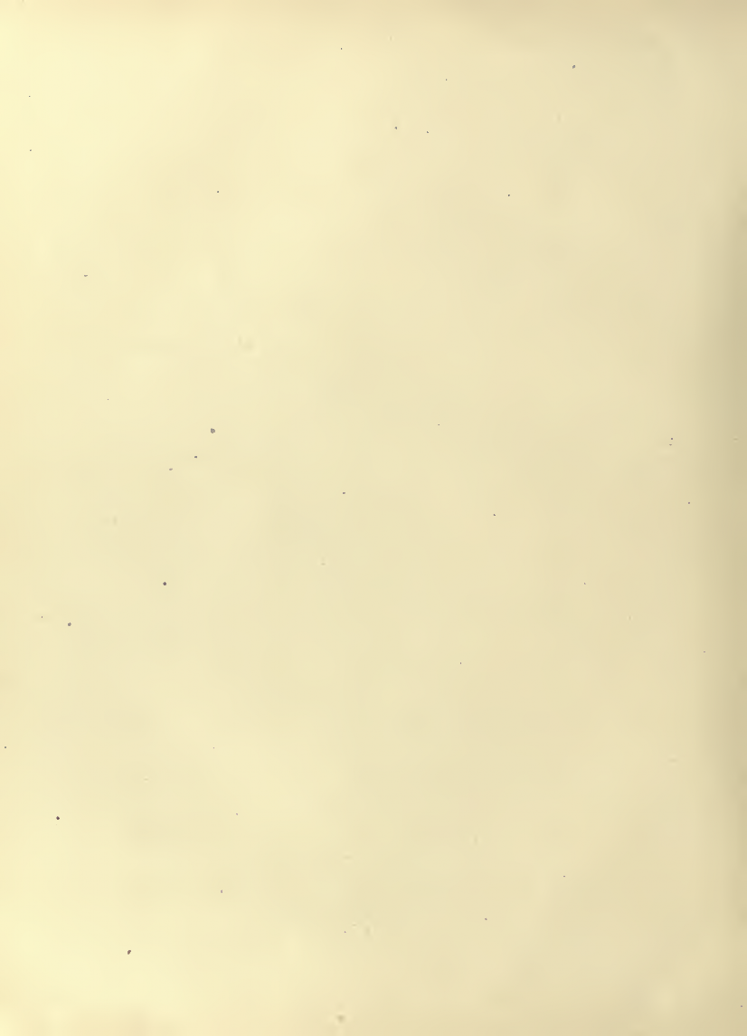 History of Chinese Writing Book