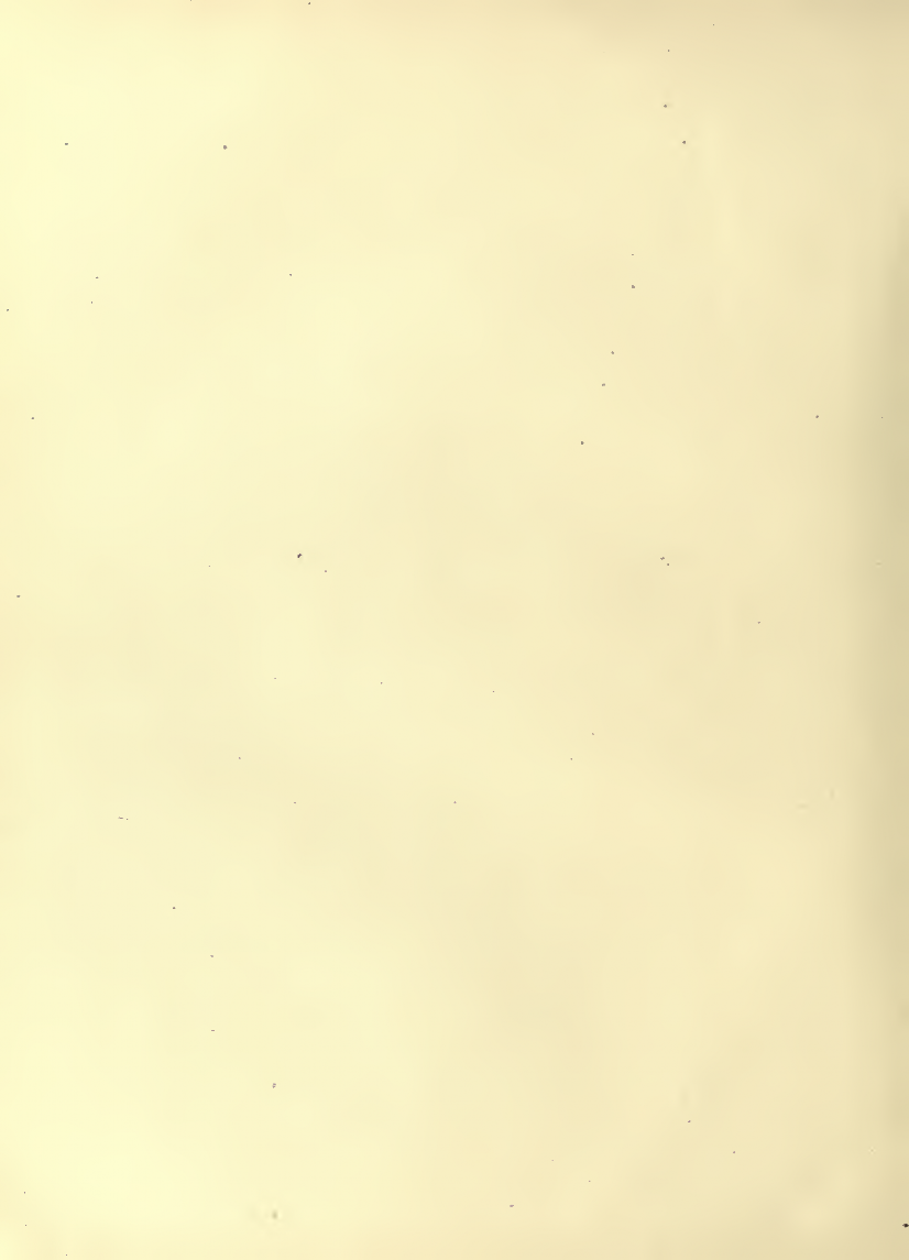 History of Chinese Writing Book