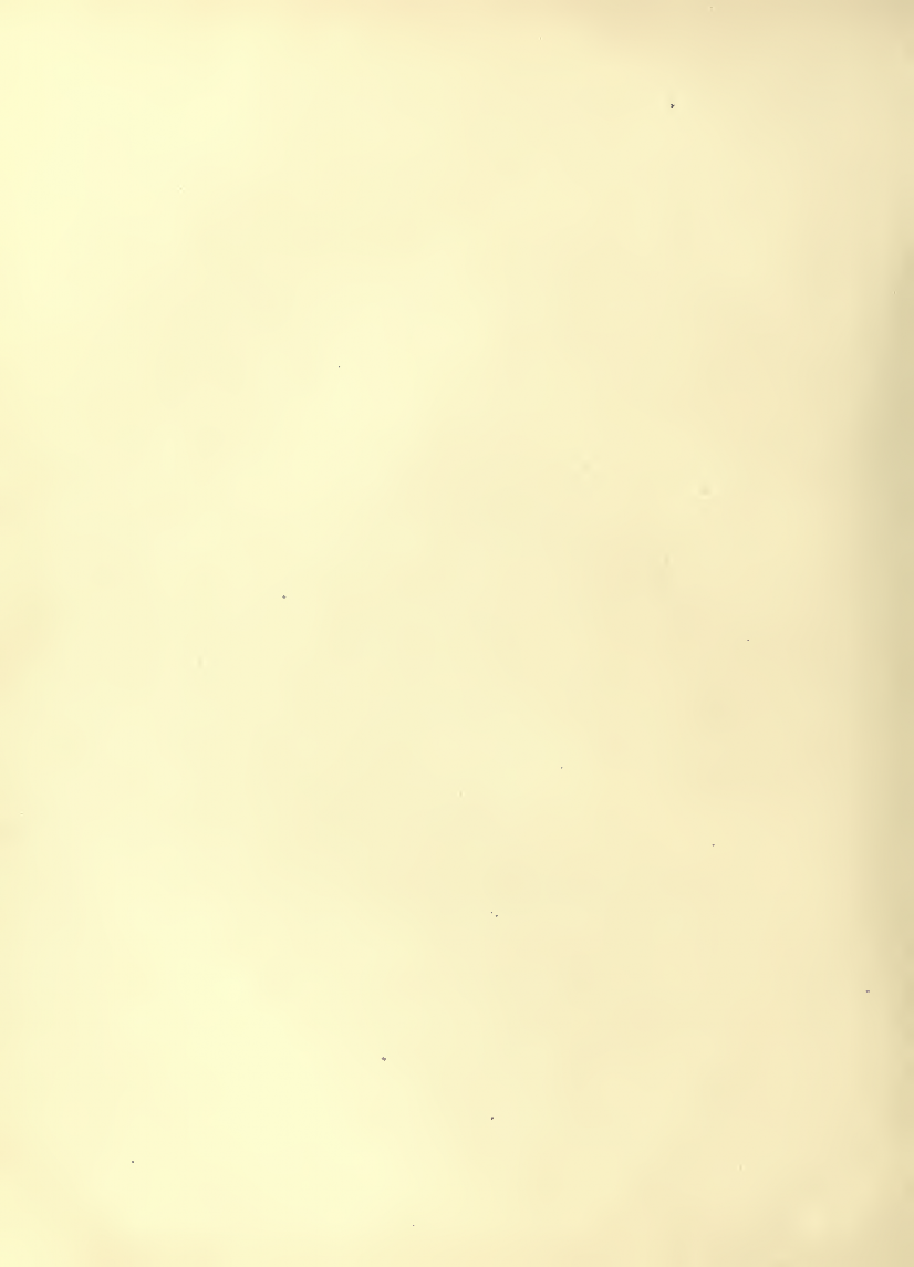 History of Chinese Writing Book