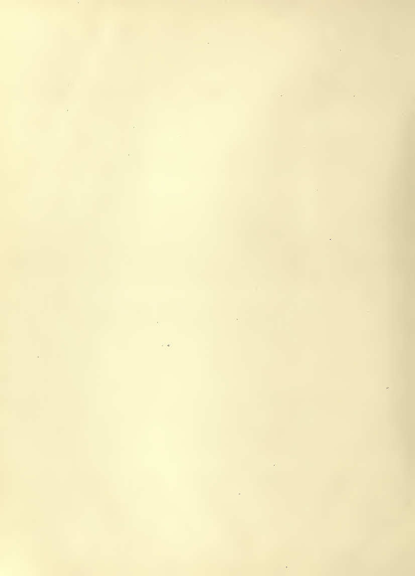 History of Chinese Writing Book